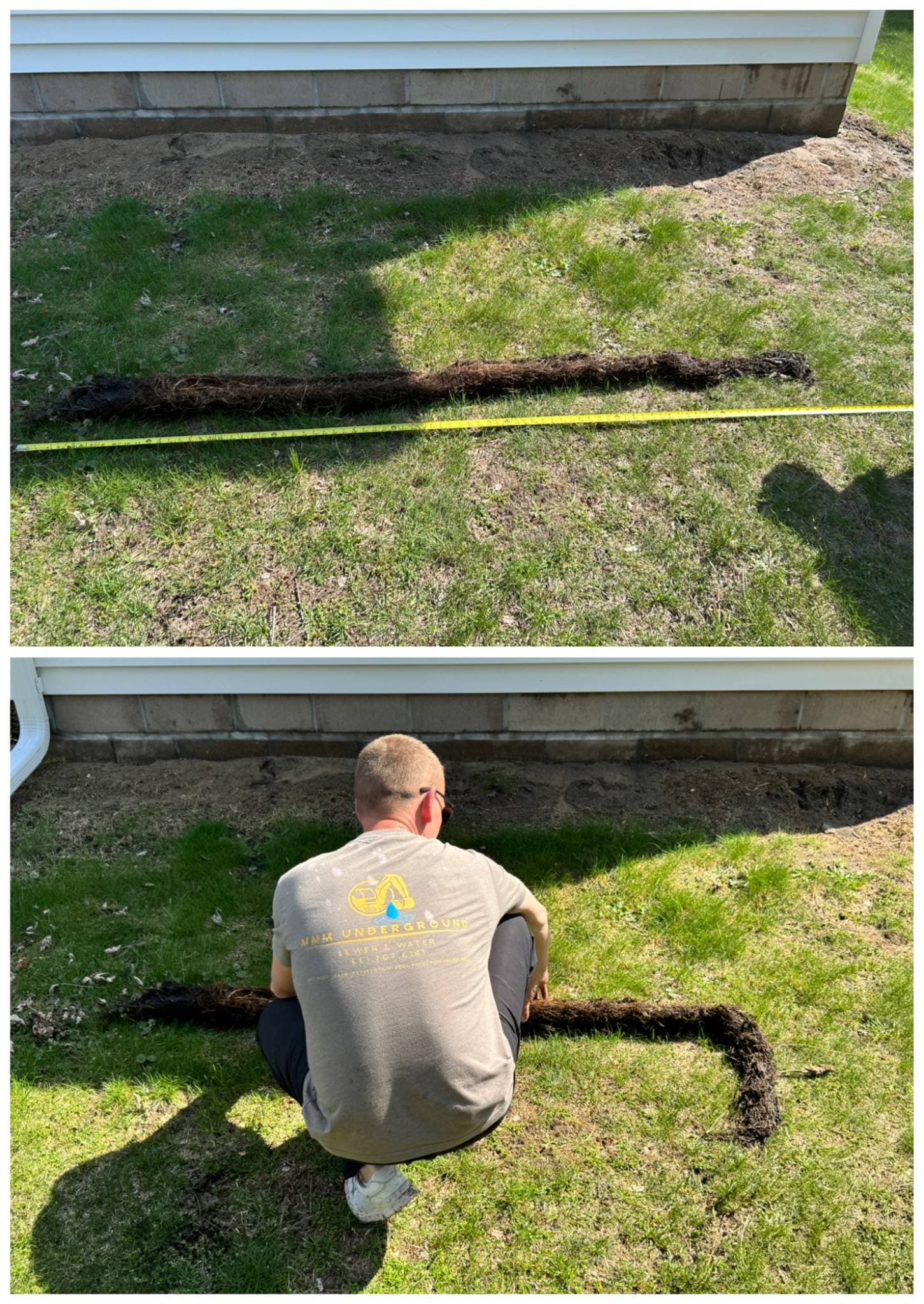 Massive Root Intrusion Pulled From a Residential Drain Line image